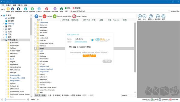 PDF Splitter Pro(PDF文檔切分合并工具)