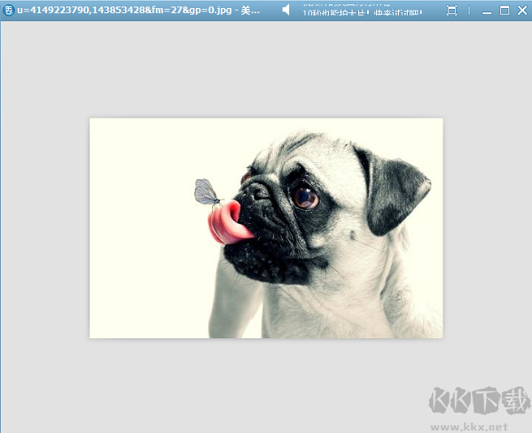 美圖看看官方正版