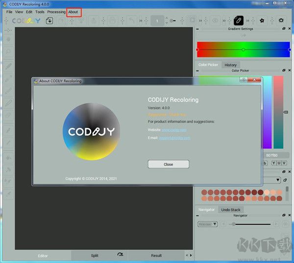 Codijy Colorizer Pro(圖片編輯著色工具)