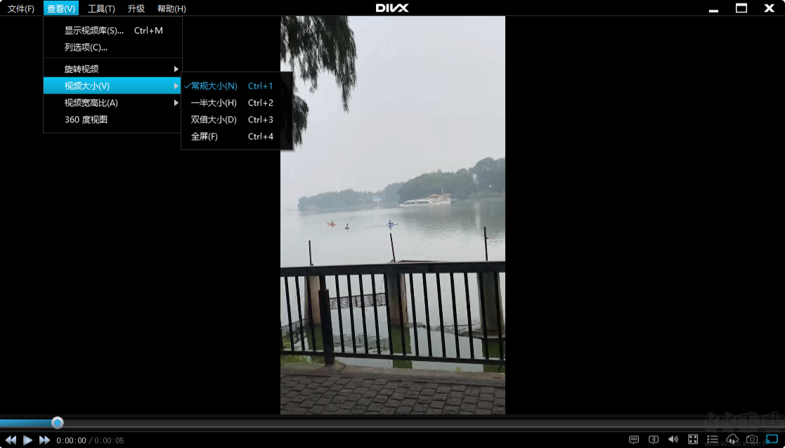 DivX Plus