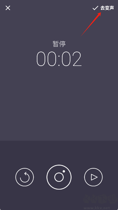 專業(yè)變聲器