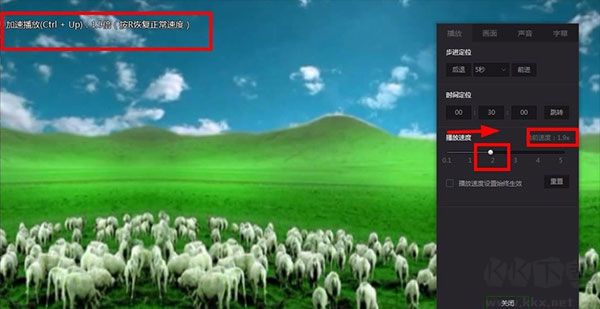 愛(ài)奇藝萬(wàn)能聯(lián)播