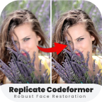 Replicate Codeformer Advices v1.9手機(jī)版