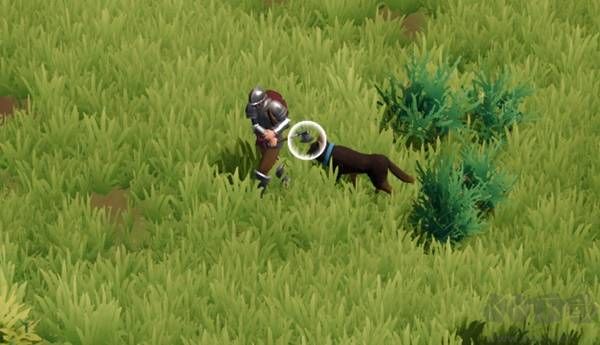 萊恩島生存指南