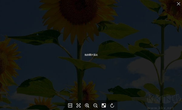 菠蘿看圖(Pineapple Pictures)