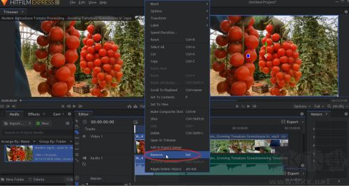 HitFilm(視頻編輯工具)中文版