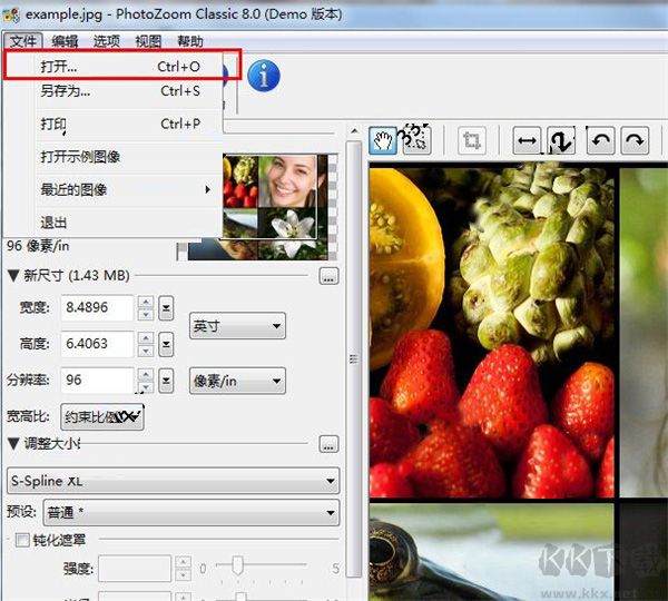 PhotoZoom Pro 8(圖片無損放大)